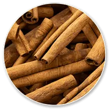 nicoya ingridents cinnamon-bark